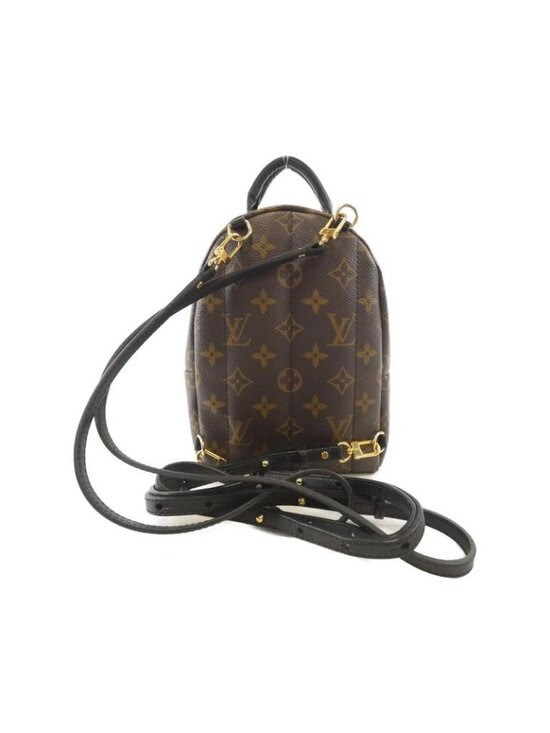 Louis Vuitton Monogram Palmspring Backpack Mini Rucksack Sac main image 3